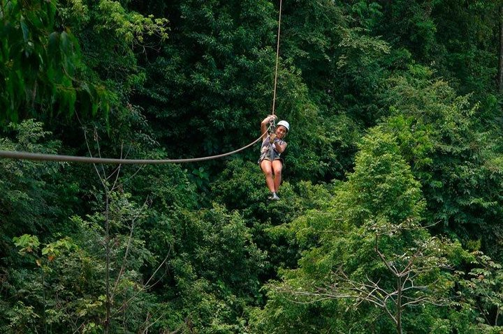 Canopy Vista de los sueños